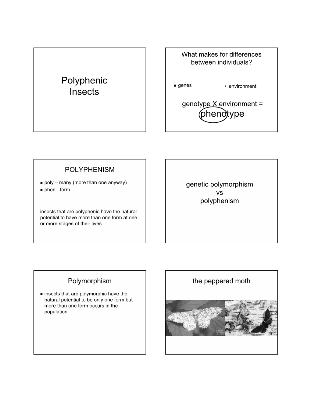 Polyphenic Insects Phenotype