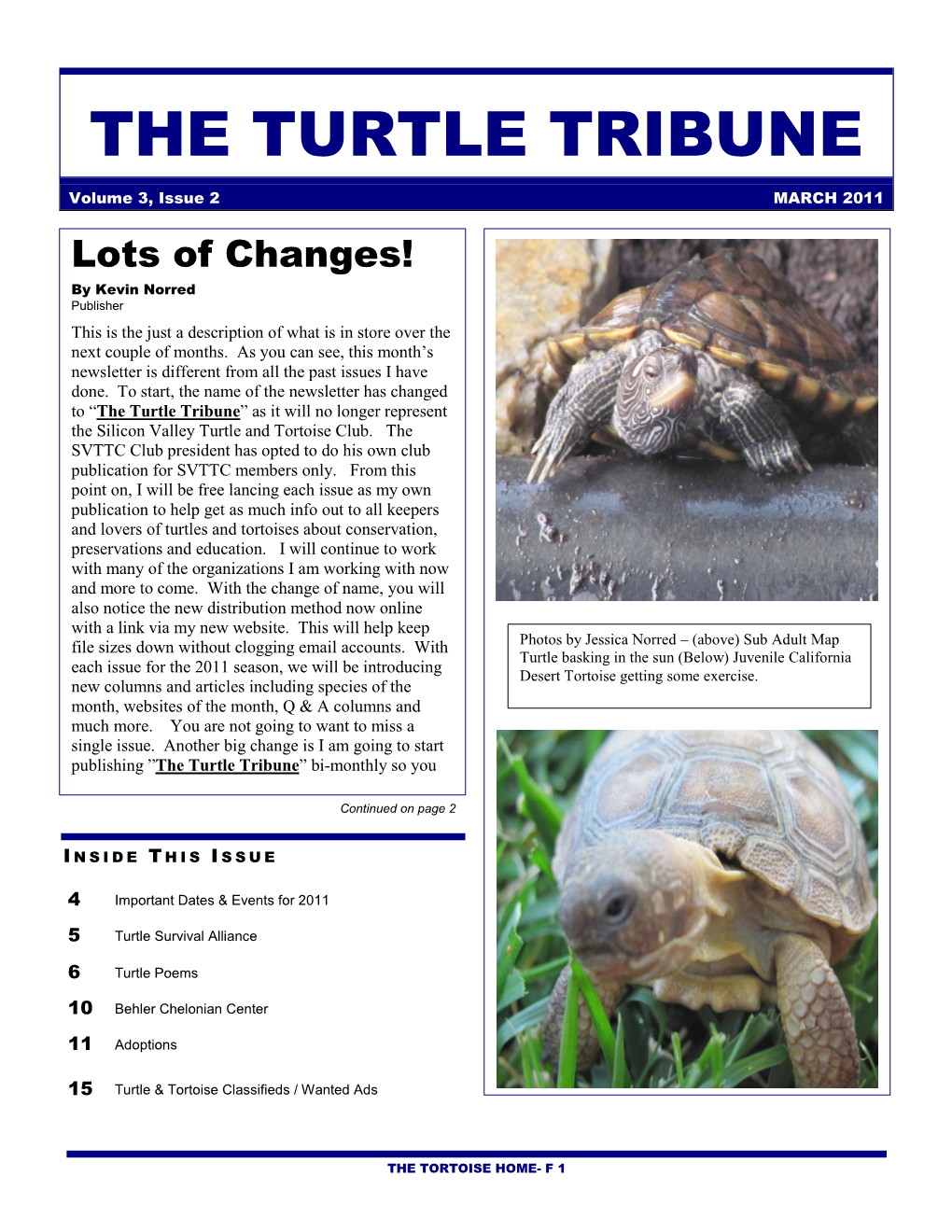 The Turtle Tribune