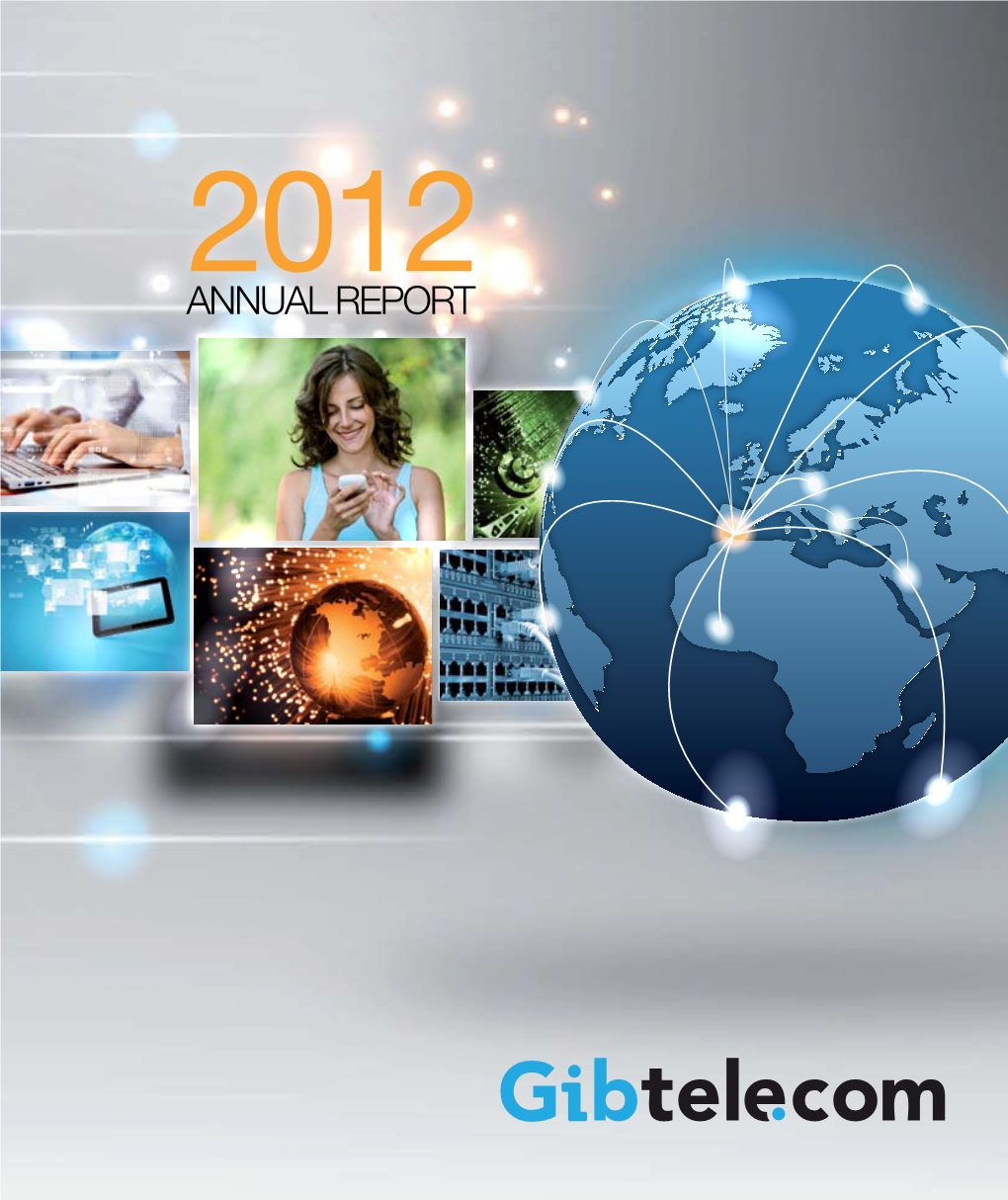 ANNUAL REPORT Contents Annual Report for the Year Ended 31 December 2012