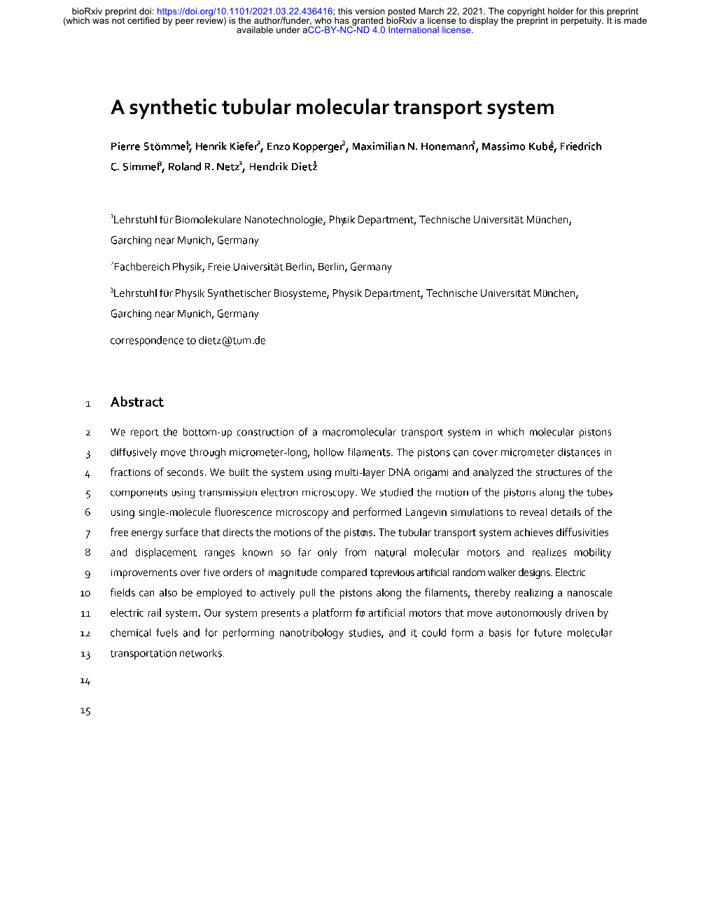 A Synthetic Tubular Molecular Transport System