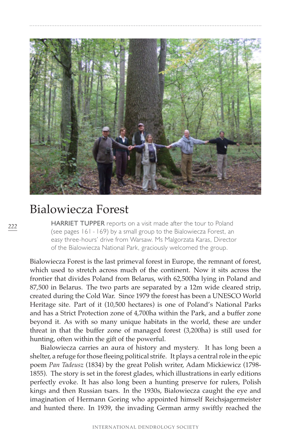 Bialowiecza Forest