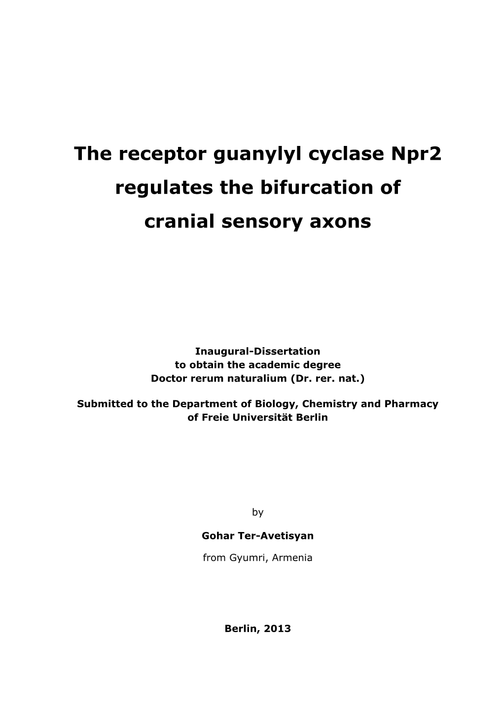 The Receptor Guanylyl Cyclase Npr2 Regulates the Bifurcation of Cranial Sensory Axons