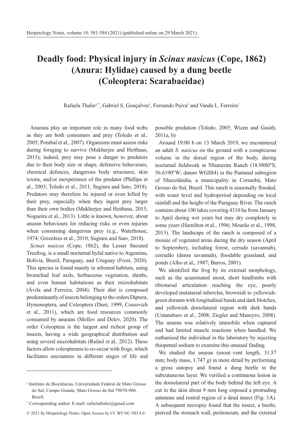 Deadly Food: Physical Injury in Scinax Nasicus (Cope, 1862) (Anura: Hylidae) Caused by a Dung Beetle (Coleoptera: Scarabaeidae)