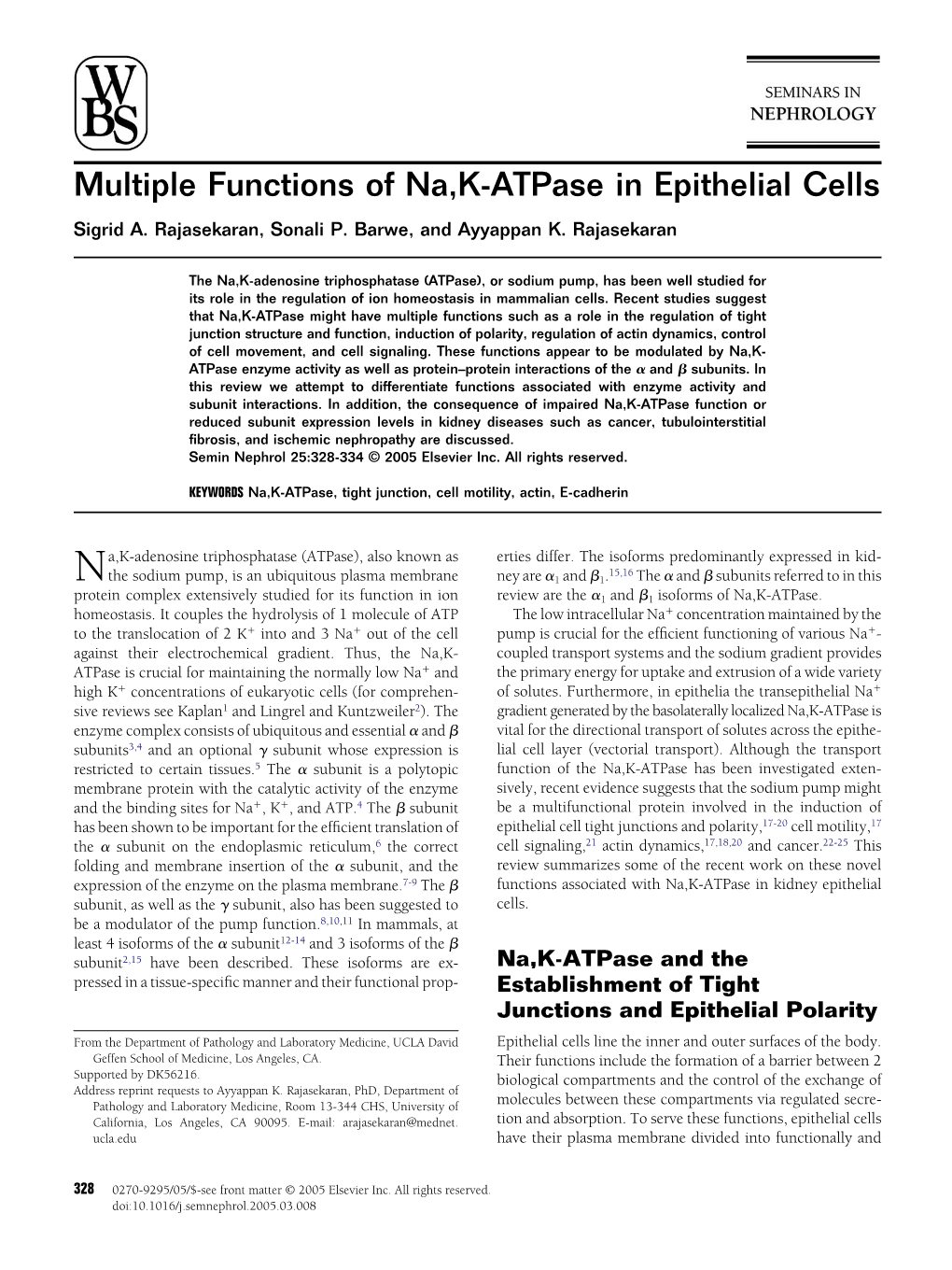 Multiple Functions of Na,K-Atpase in Epithelial Cells Sigrid A