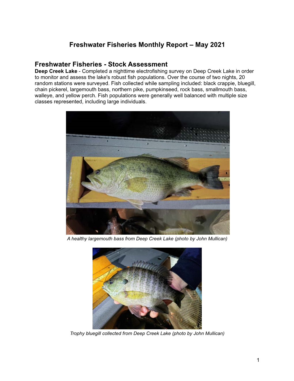 Freshwater Fisheries Monthly Report – May 2021