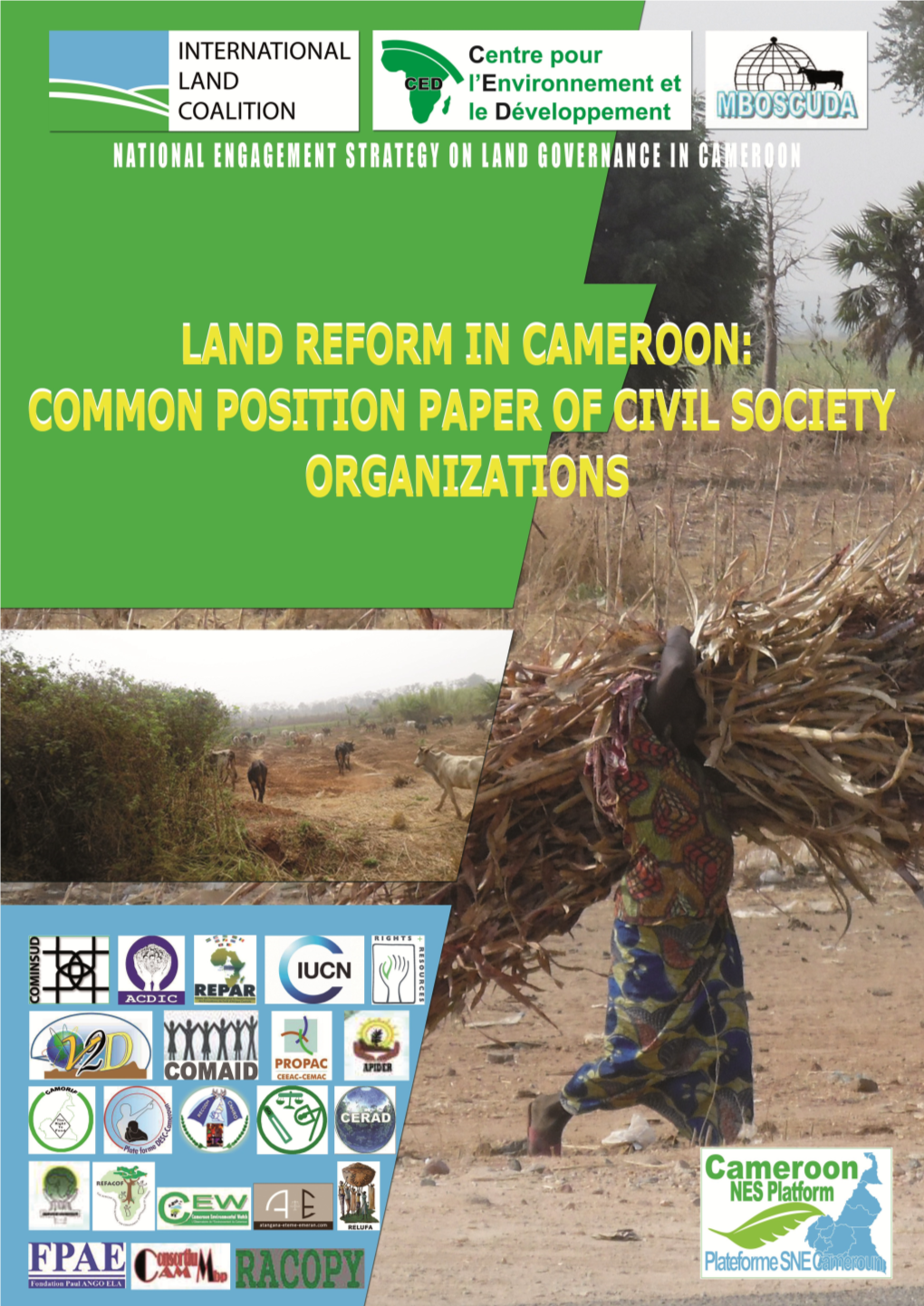 Land-Reform-In-Cameroon.Pdf