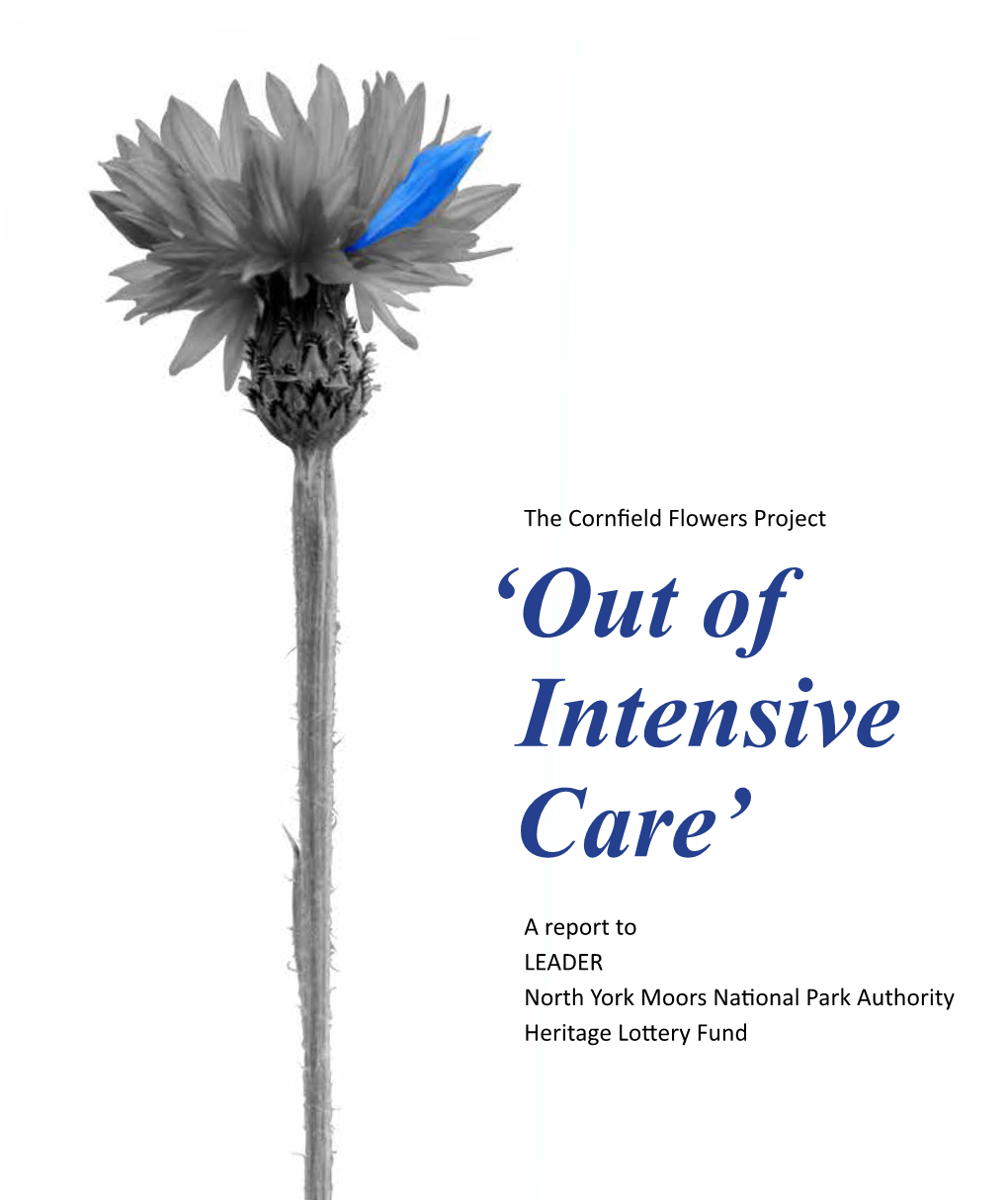 'Out of Intensive Care'
