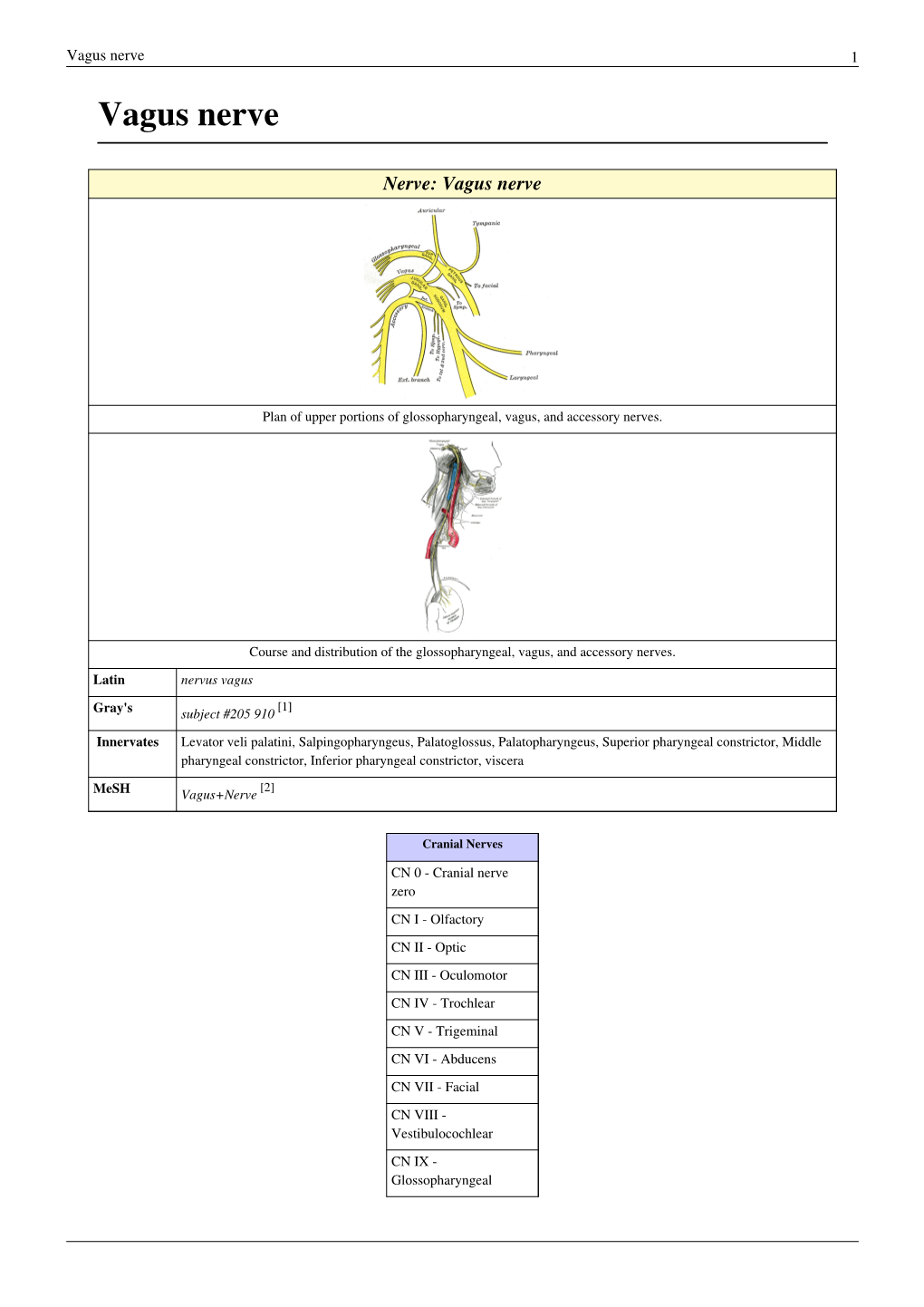 Vagus Nerve 1 Vagus Nerve