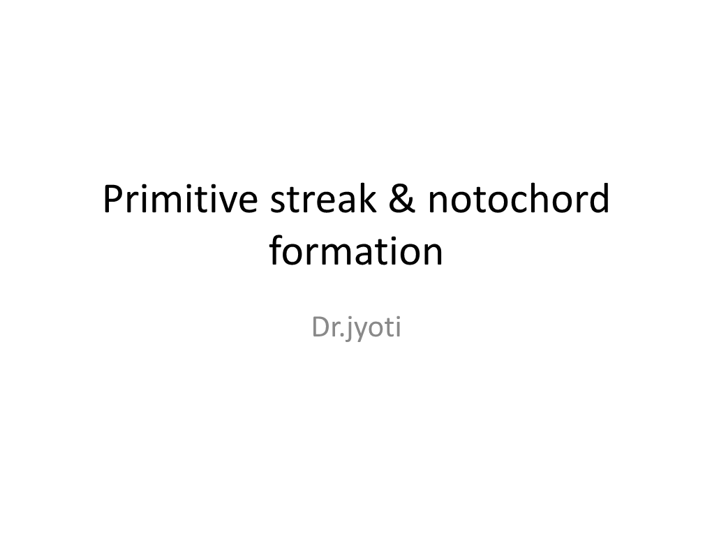 Primitive Streak & Notochord Formation