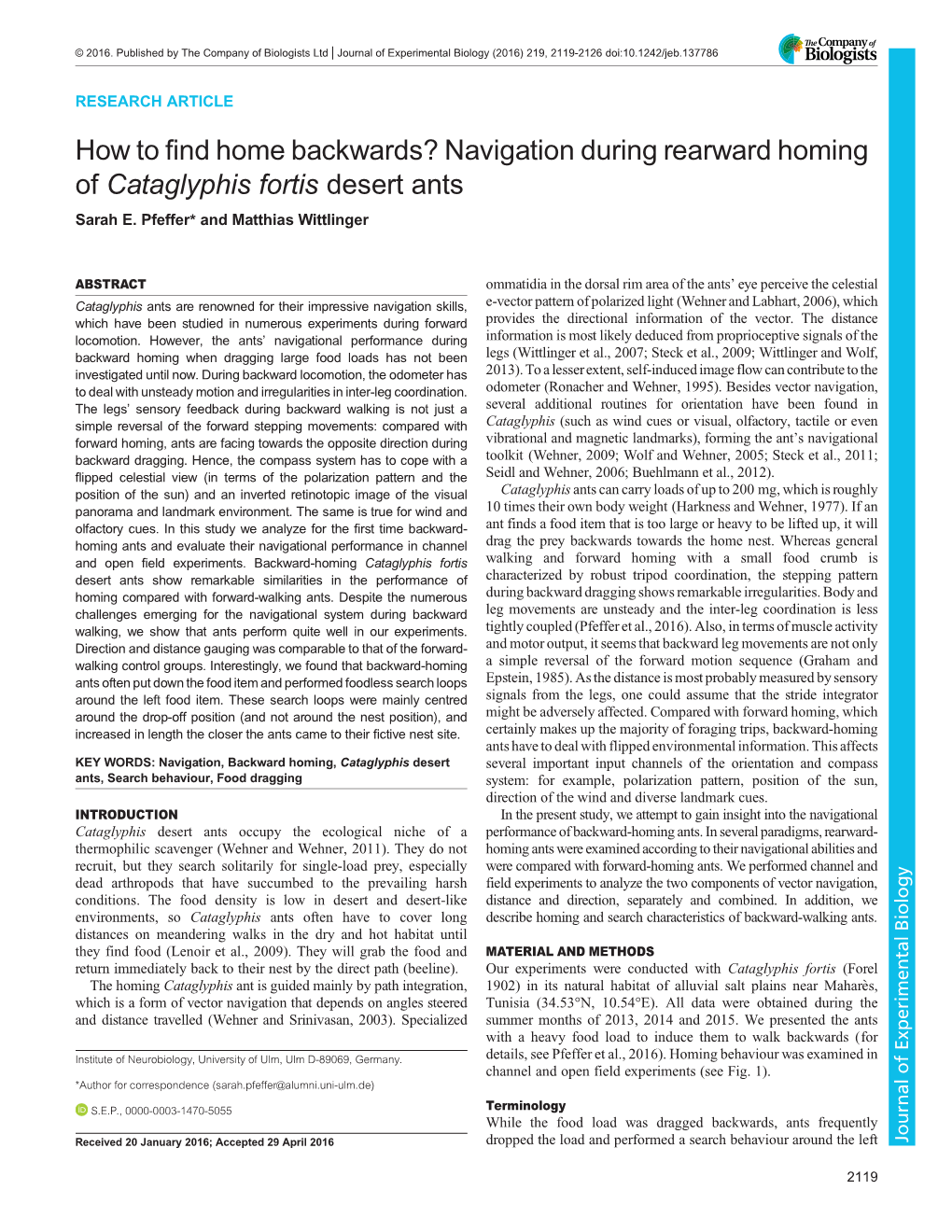 Navigation During Rearward Homing of Cataglyphis Fortis Desert Ants Sarah E