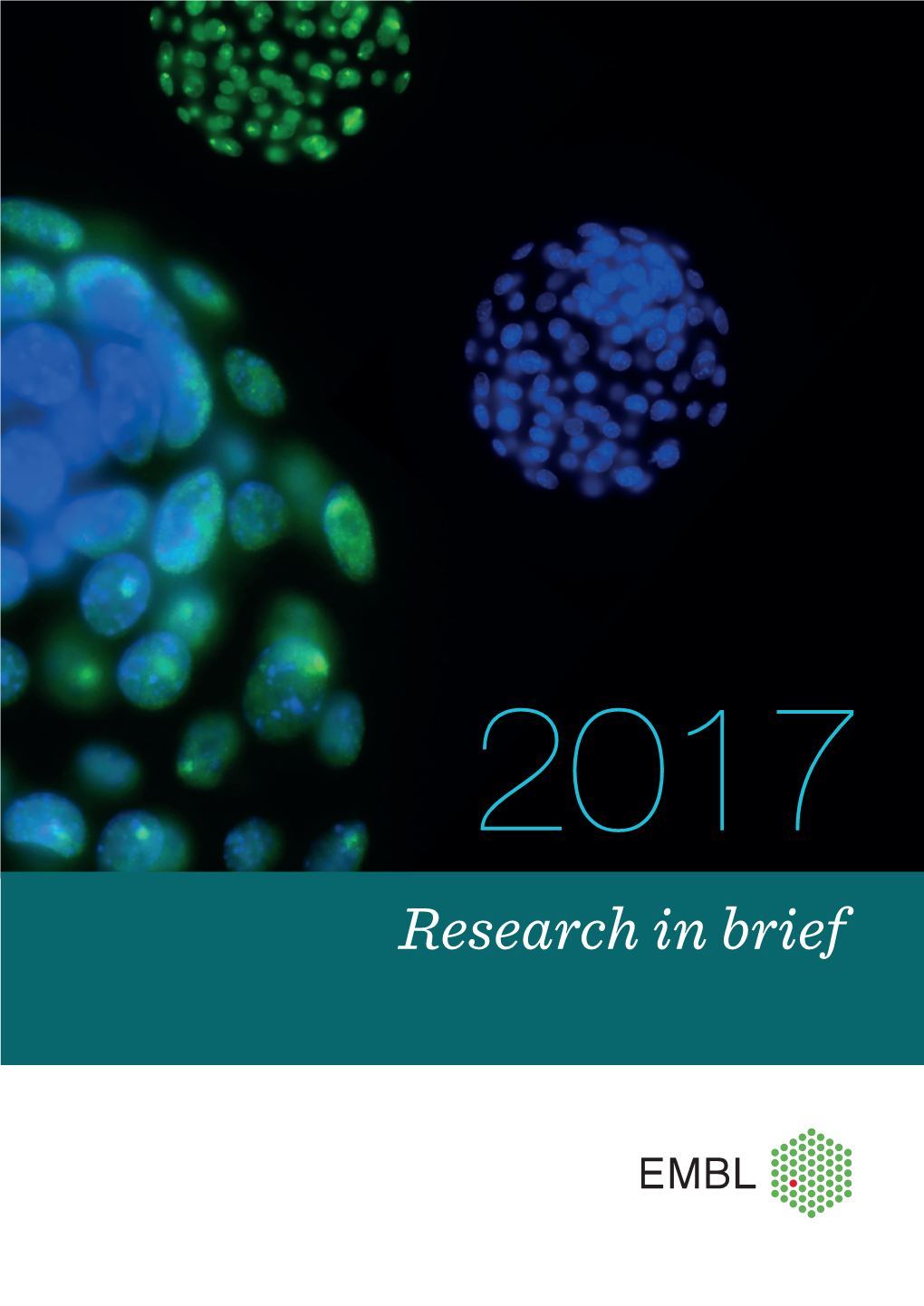 Research in Brief 2017 Research in Brief 2017 5 Careers at EMBL Directors’ Research