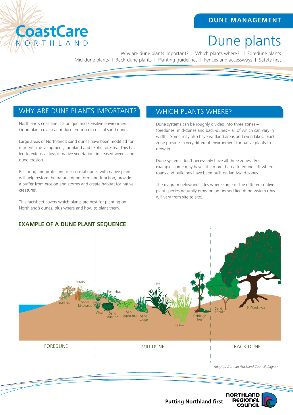 Dune Plants Factsheet.Pdf
