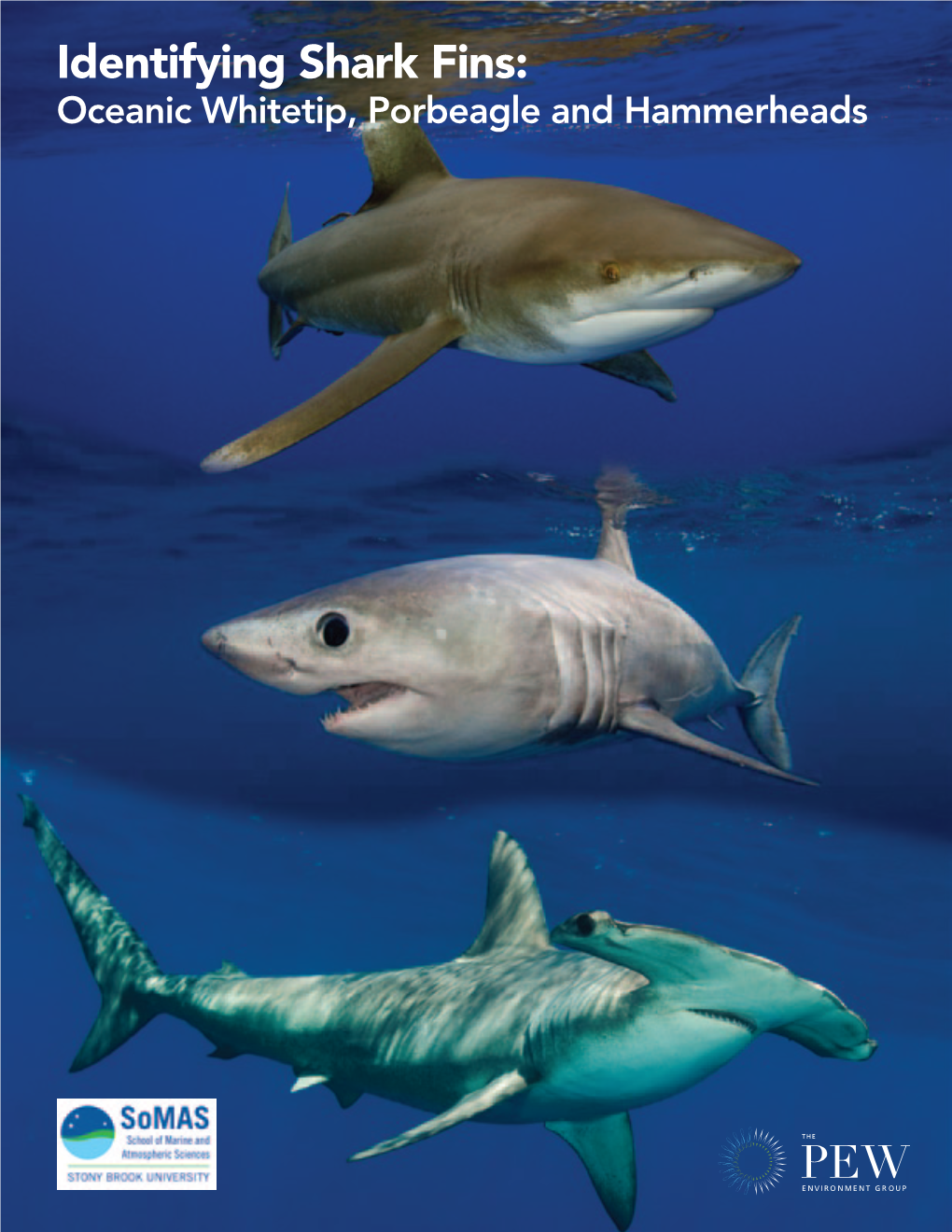 Identifying Shark Fins: Oceanic Whitetip, Porbeagle and Hammerheads Dorsal Fin Landmarks Used in This Guide