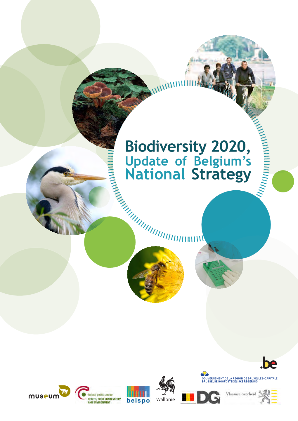 Belgium’S National Strategy Biodiversity 2020, Update of Belgium's National Strategy
