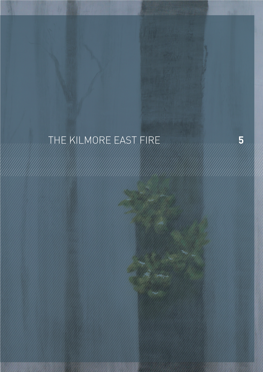 The Kilmore East Fires