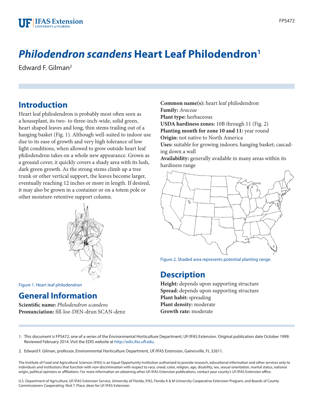 Philodendron Scandens Heart Leaf Philodendron1 Edward F