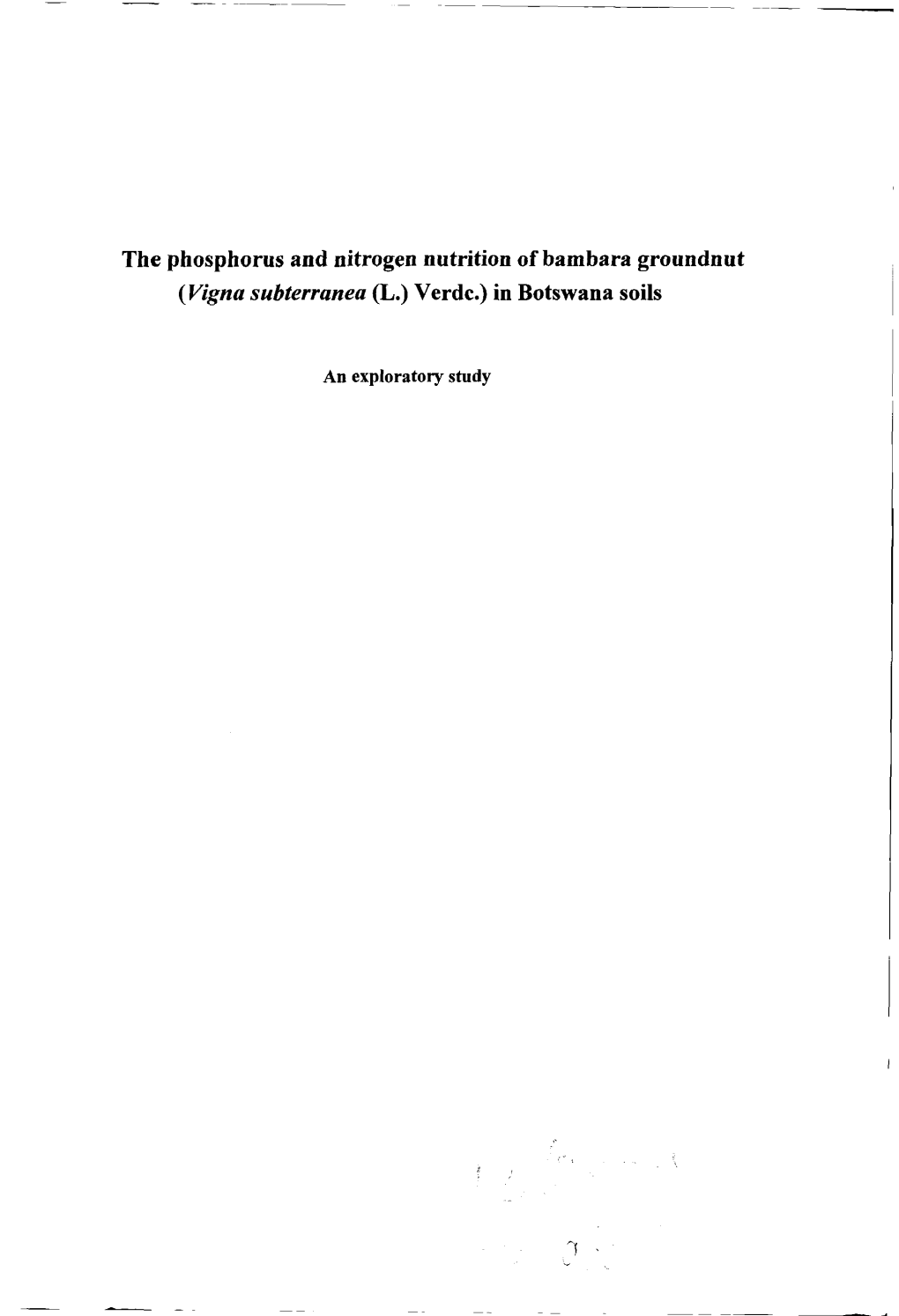 The Phosphorus and Nitrogen Nutrition of Bambara Groundnut (Vigna Subterranea (L.) Verdc.) in Botswana Soils : an Exploratory St