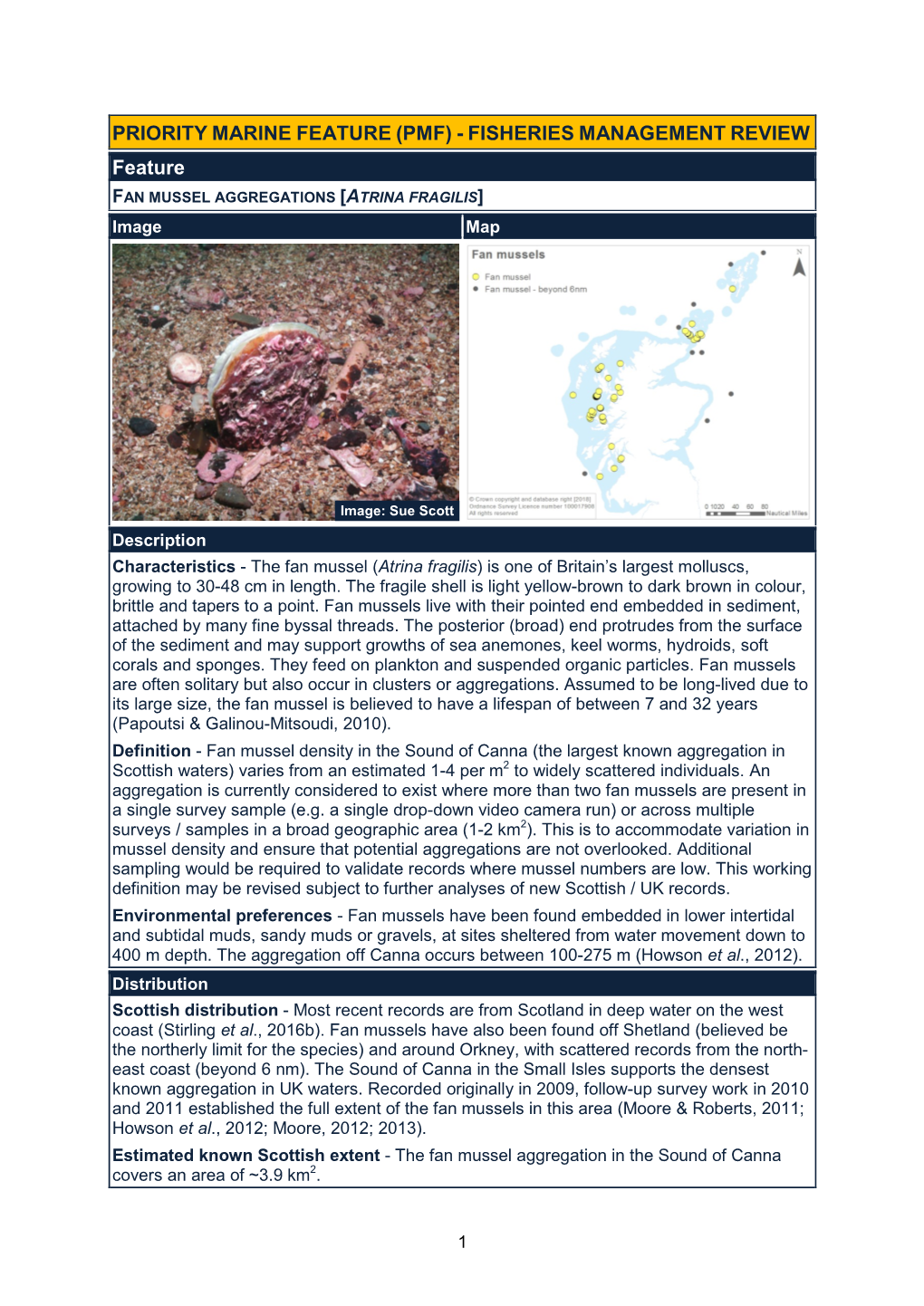 FAN MUSSEL AGGREGATIONS [ATRINA FRAGILIS] Image Map