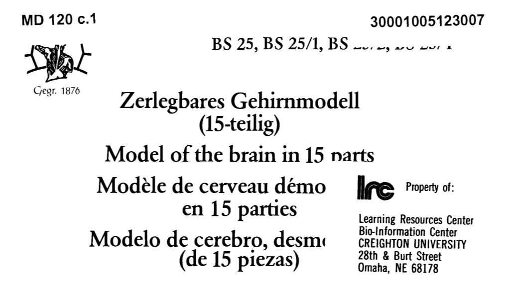 Model Ofthe Brain in 15 Narts Modele De Cerveau Demo R Property Of