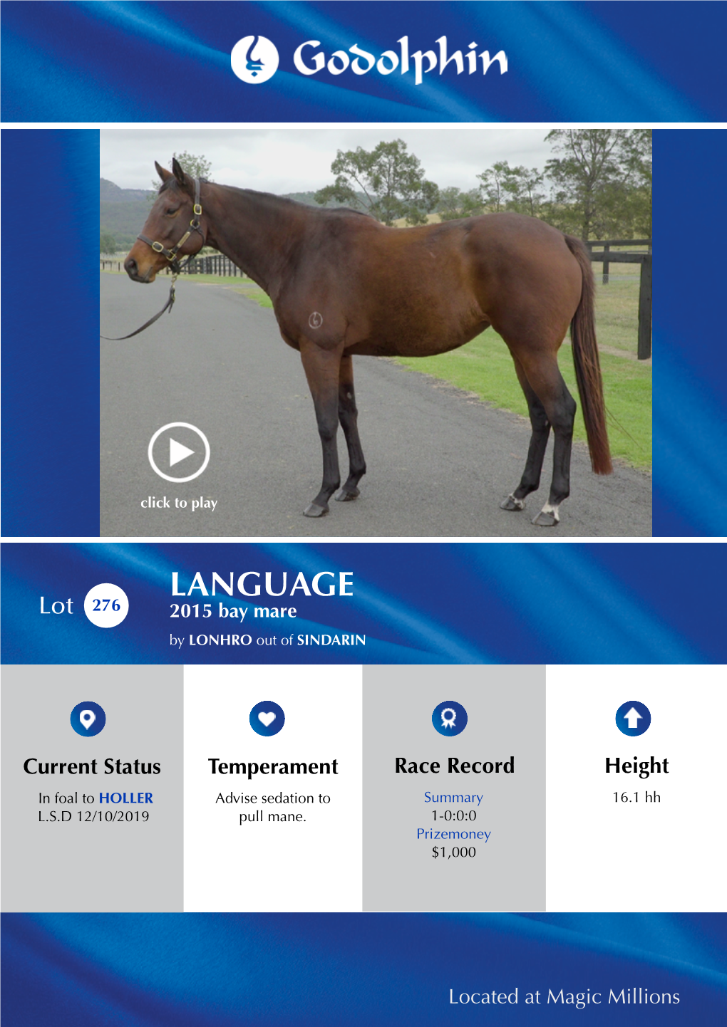 LANGUAGE Lot 276 2015 Bay Mare by LONHRO out of SINDARIN