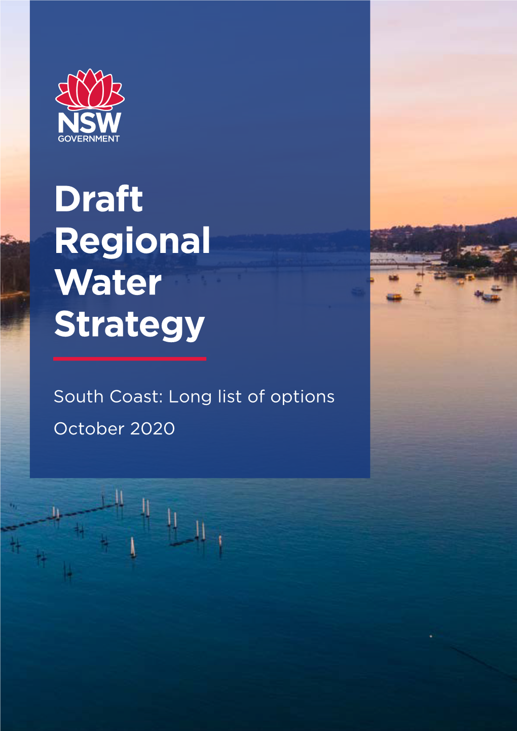Draft Regional Water Strategy: South Coast–Long List of Options 16/11/20