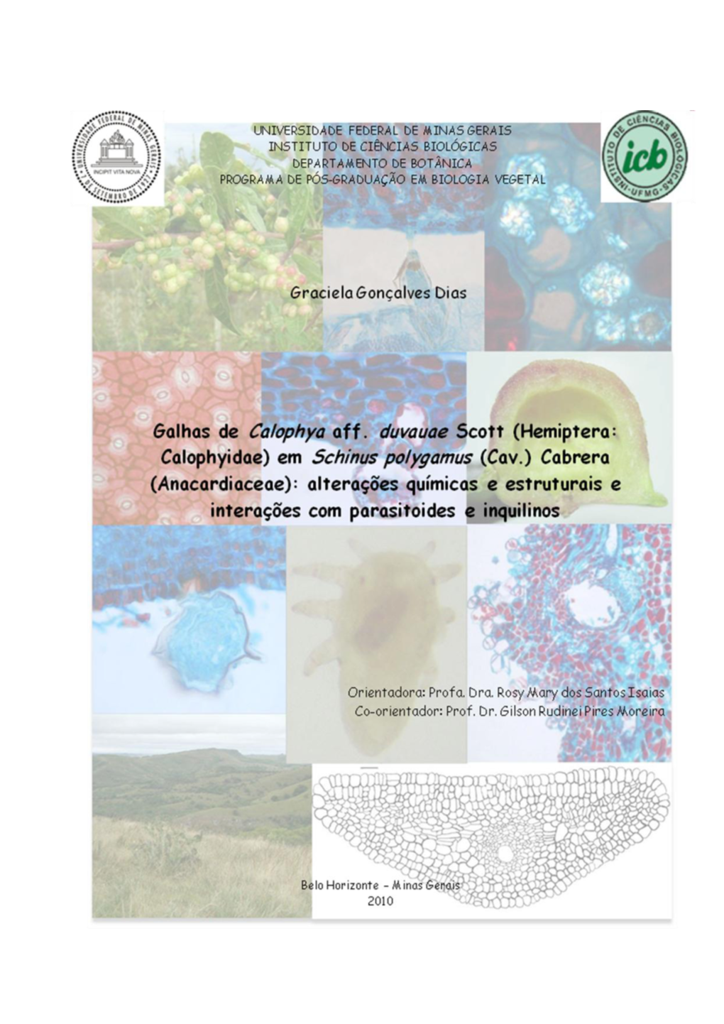 Em Schinus Polygamus (Cav.) Cabrera (Anacardiaceae): Alterações Químicas E Estruturais E Interações Com Parasitoides E Inquilinos