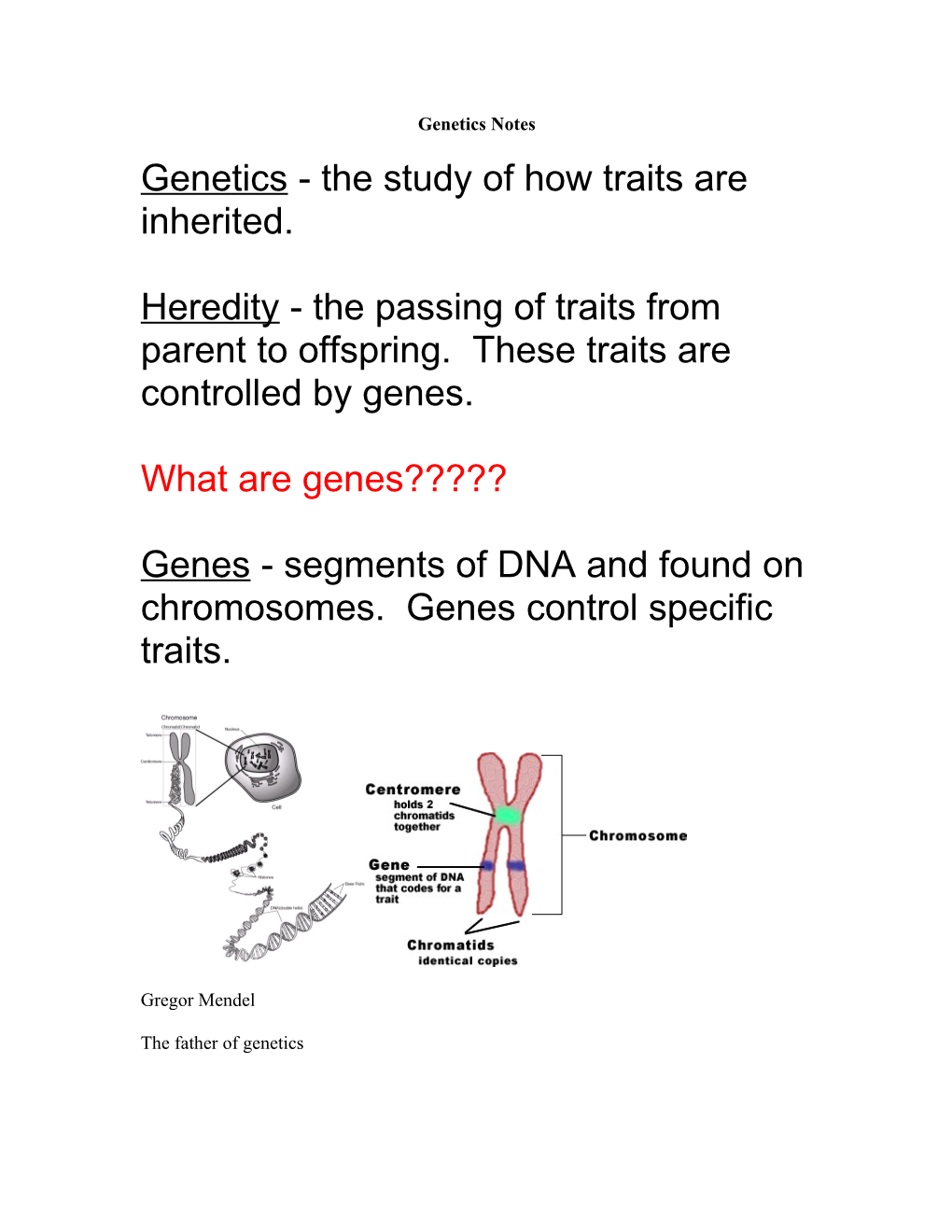 Genetics - the Study of How Traits Are Inherited