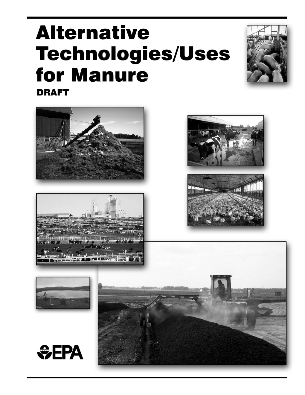 Draft Report: Alternative Technologies/Uses for Manure
