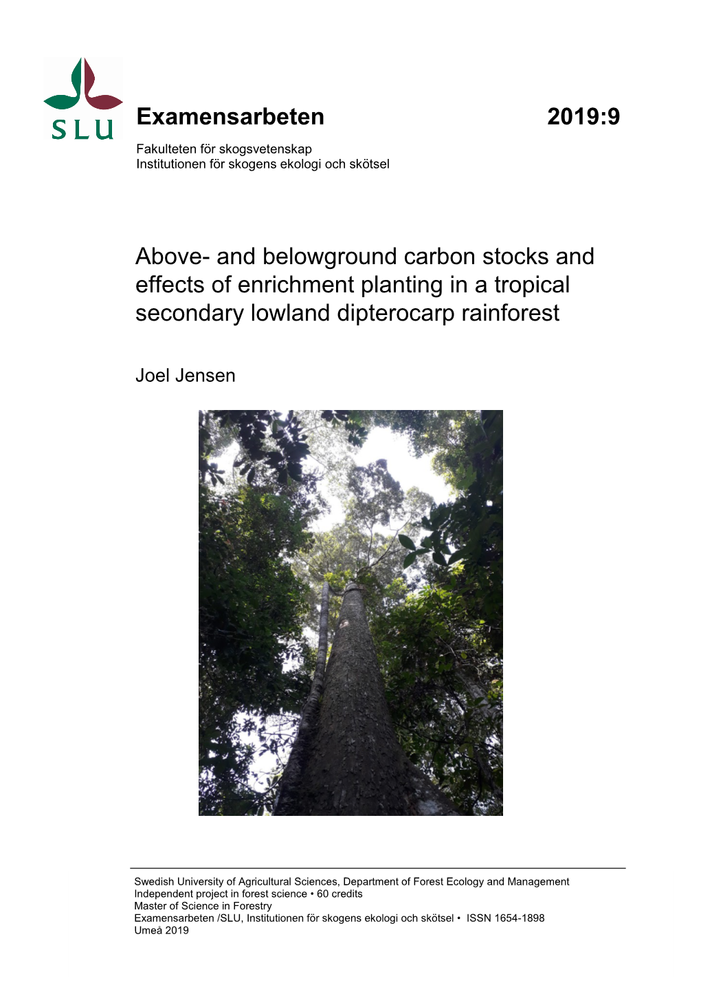 And Belowground Carbon Stocks and Effects of Enrichment Planting in a Tropical Secondary Lowland Dipterocarp Rainforest