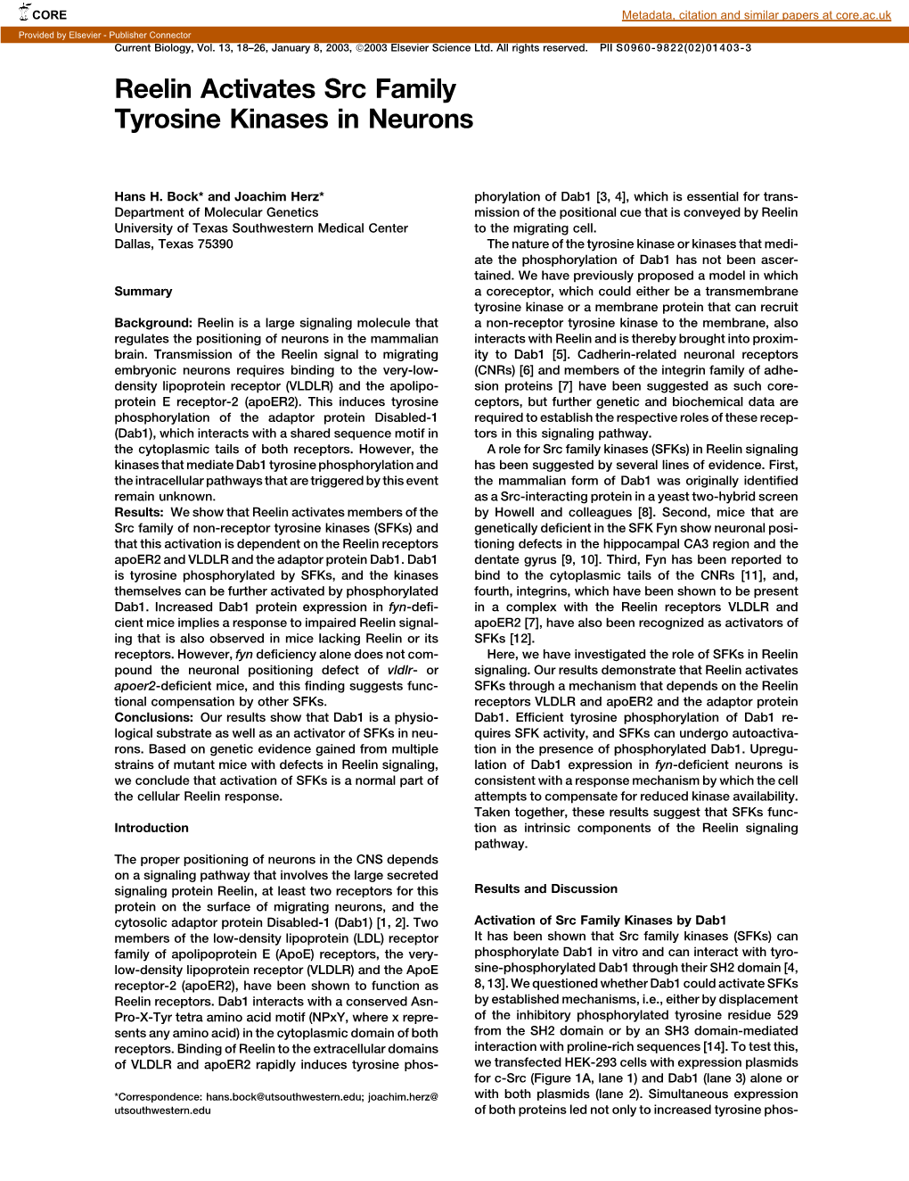 Reelin Activates Src Family Tyrosine Kinases in Neurons