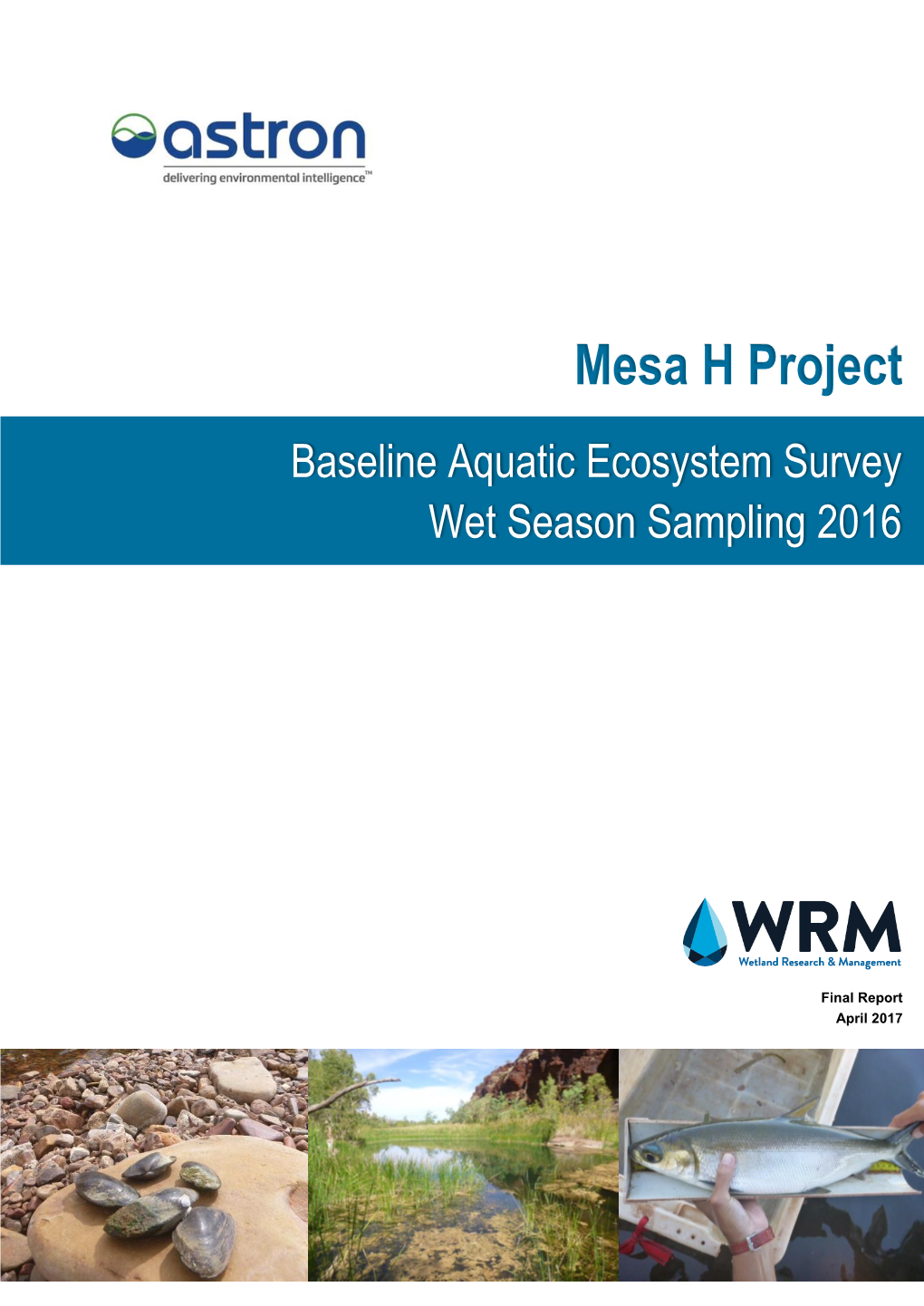 A11 Mesa H Project Baseline Aquatic Ecostsren Survey Wet