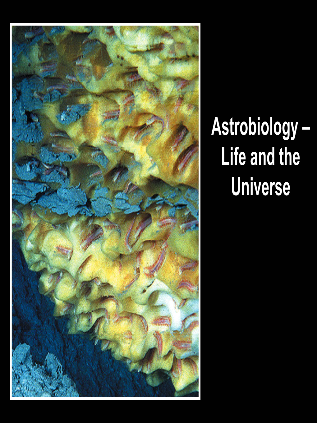 Astrobiology – Life and the Universe Guiding Questions