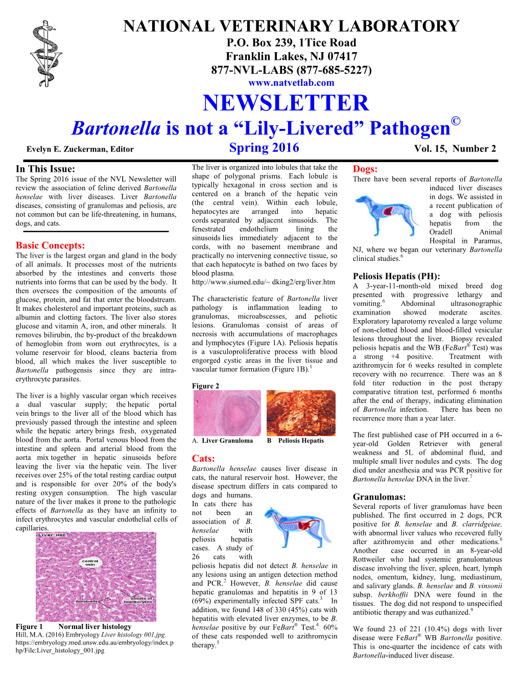 Bartonella Is Not a "Lily-Livered" Pathogen