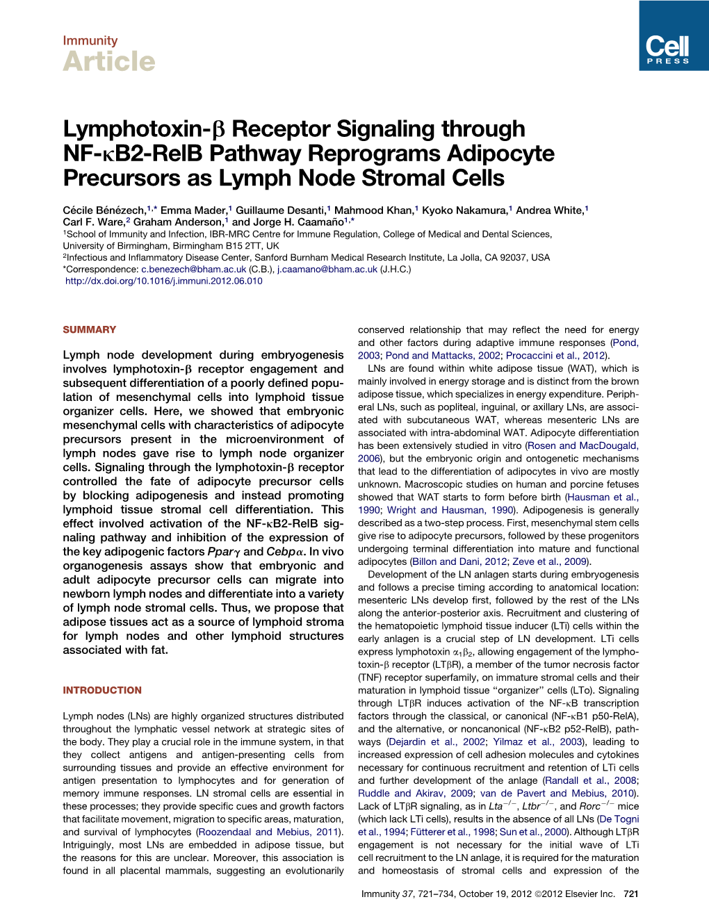 Lymphotoxin-&Beta; Receptor Signaling Through NF
