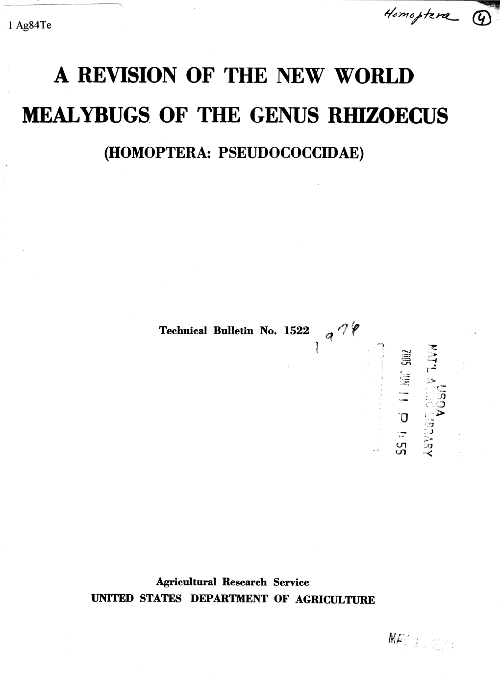 A Revision of the New World Mealybugs of the Genus Rhizoecus