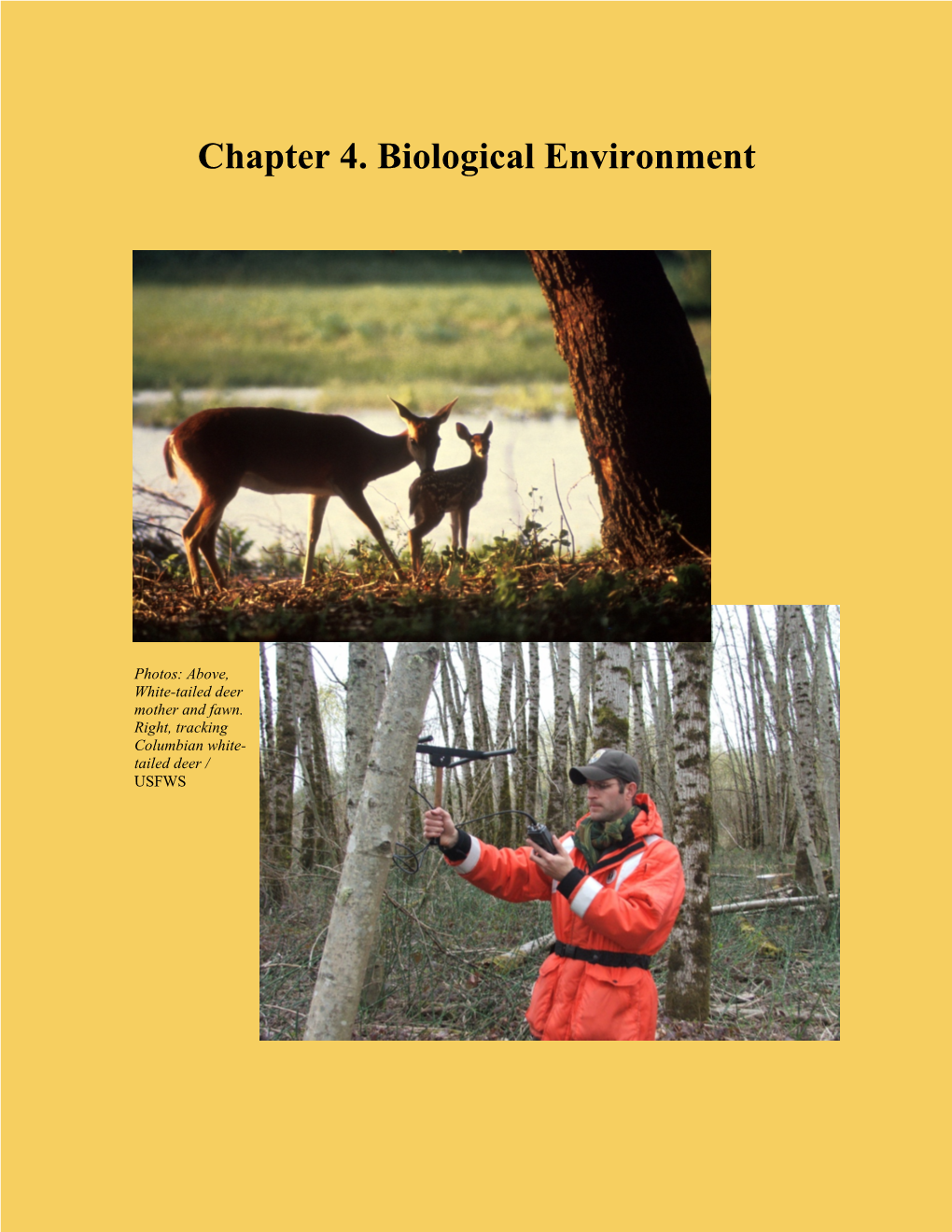 Chapter 4. Biological Environment