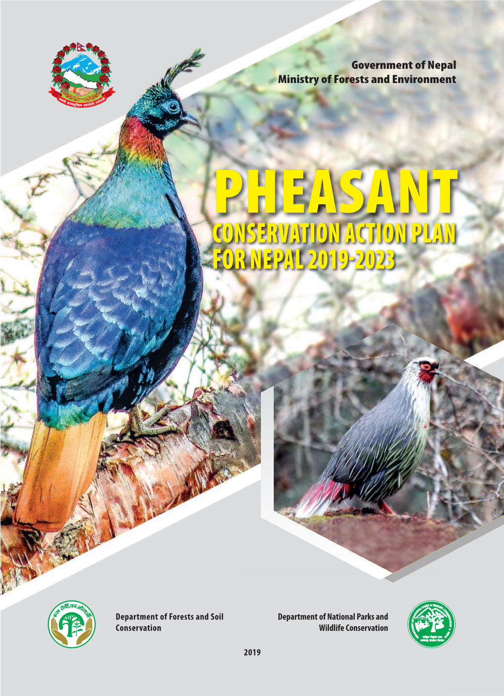 Pheasant Conservation Action Plan 2019.Indd