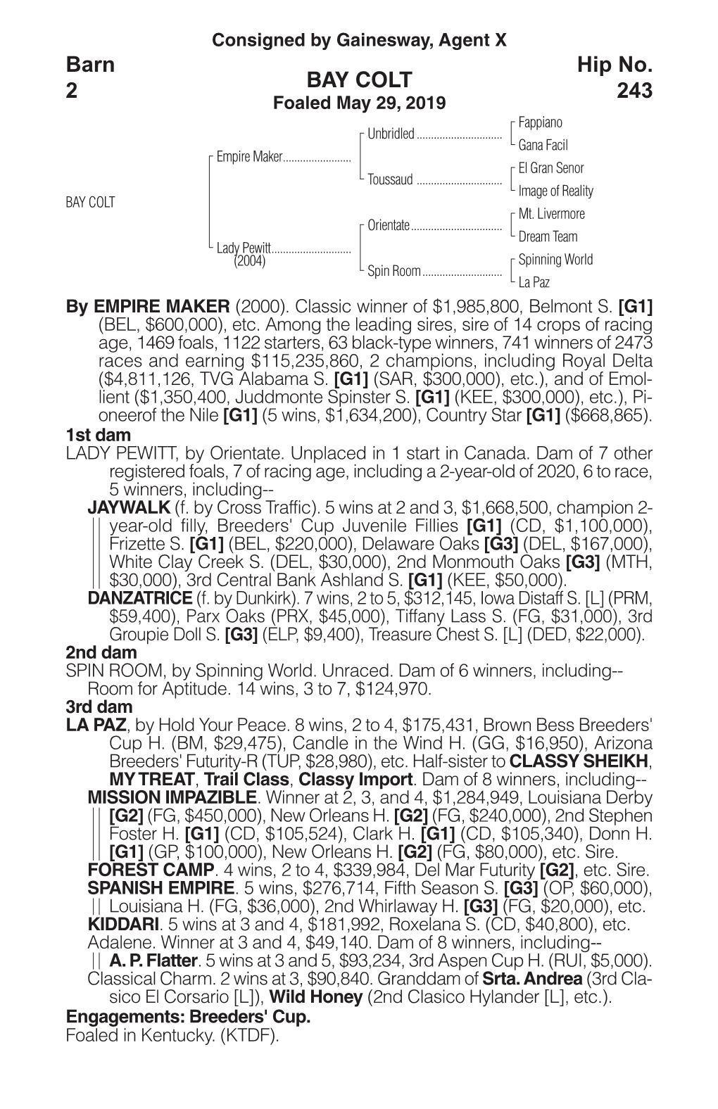 BAY COLT Barn 2 Hip No