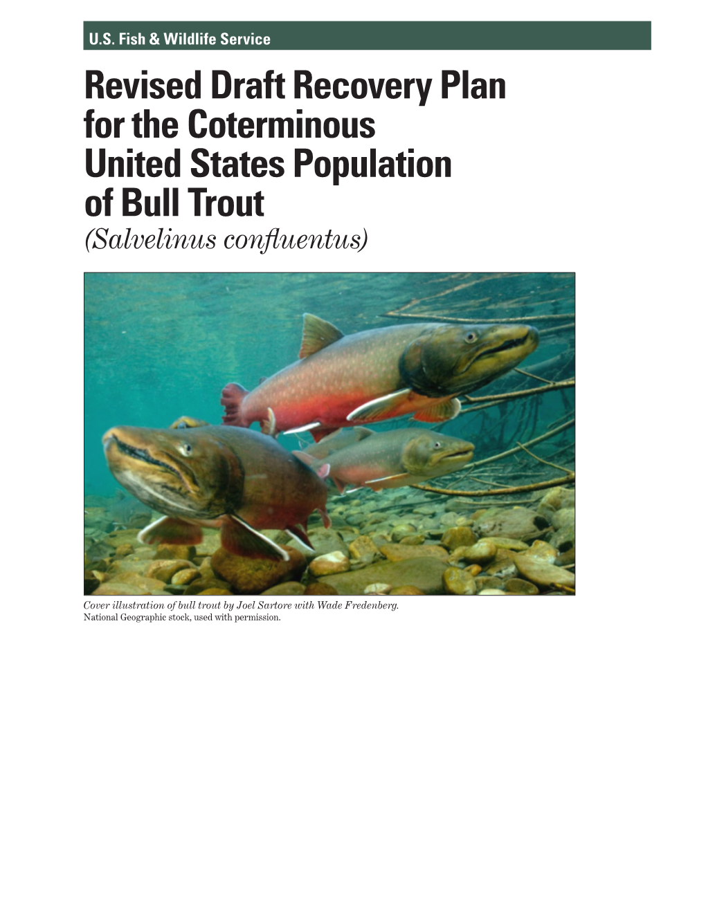 Revised Draft Recovery Plan for the Coterminous United States Population of Bull Trout (Salvelinus Confluentus)