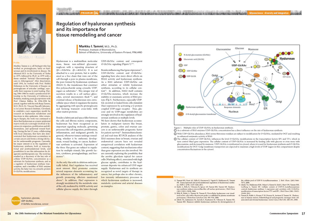 Regulation of Hyaluronan Synthesis and Its Importance for Tissue Remodeling and Cancer