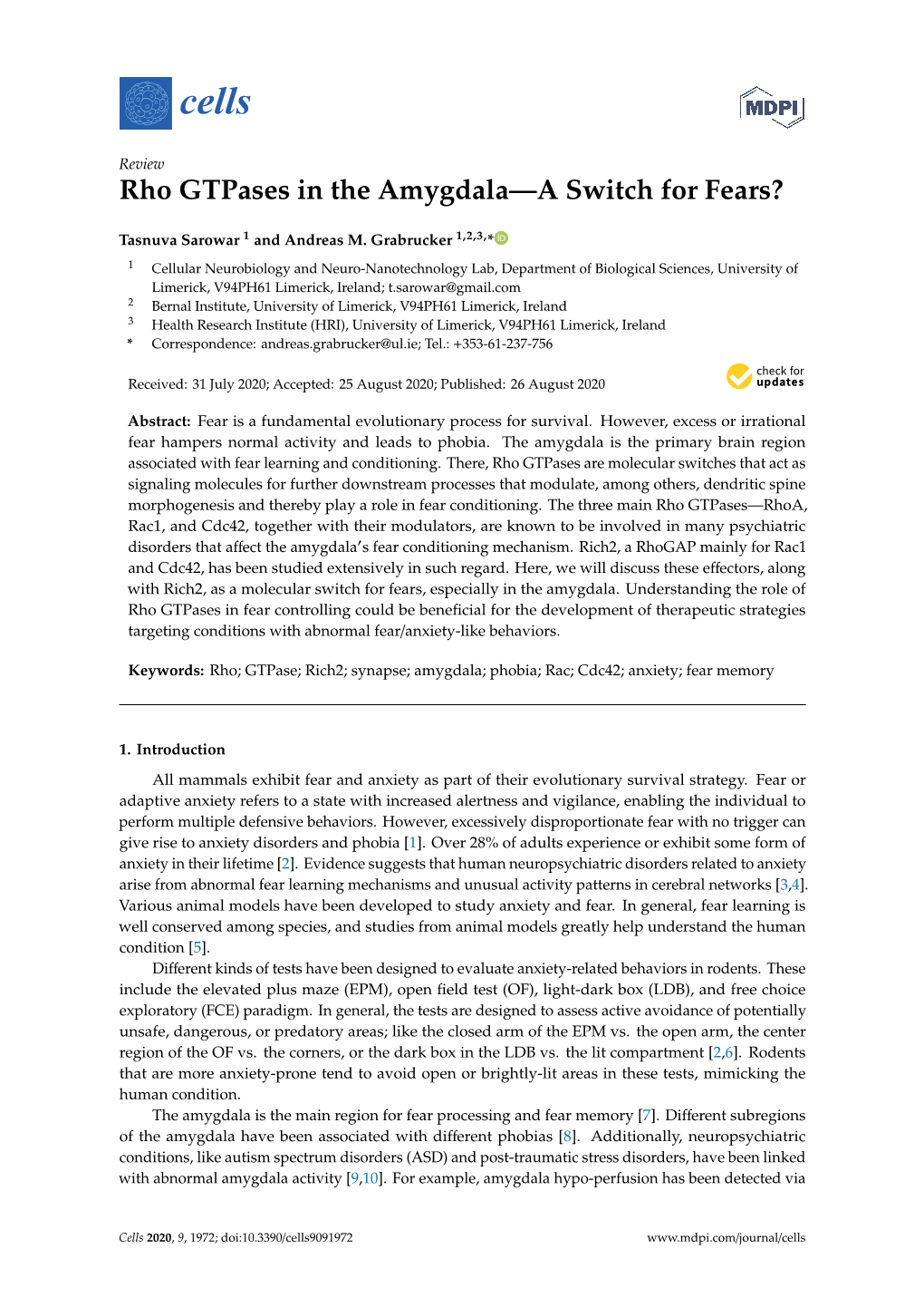 Rho Gtpases in the Amygdala—A Switch for Fears?