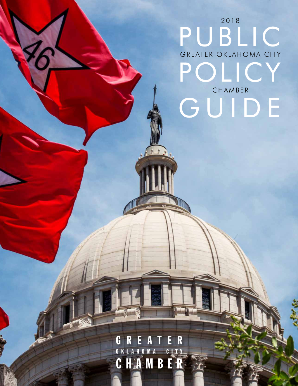 Public Policy Guide