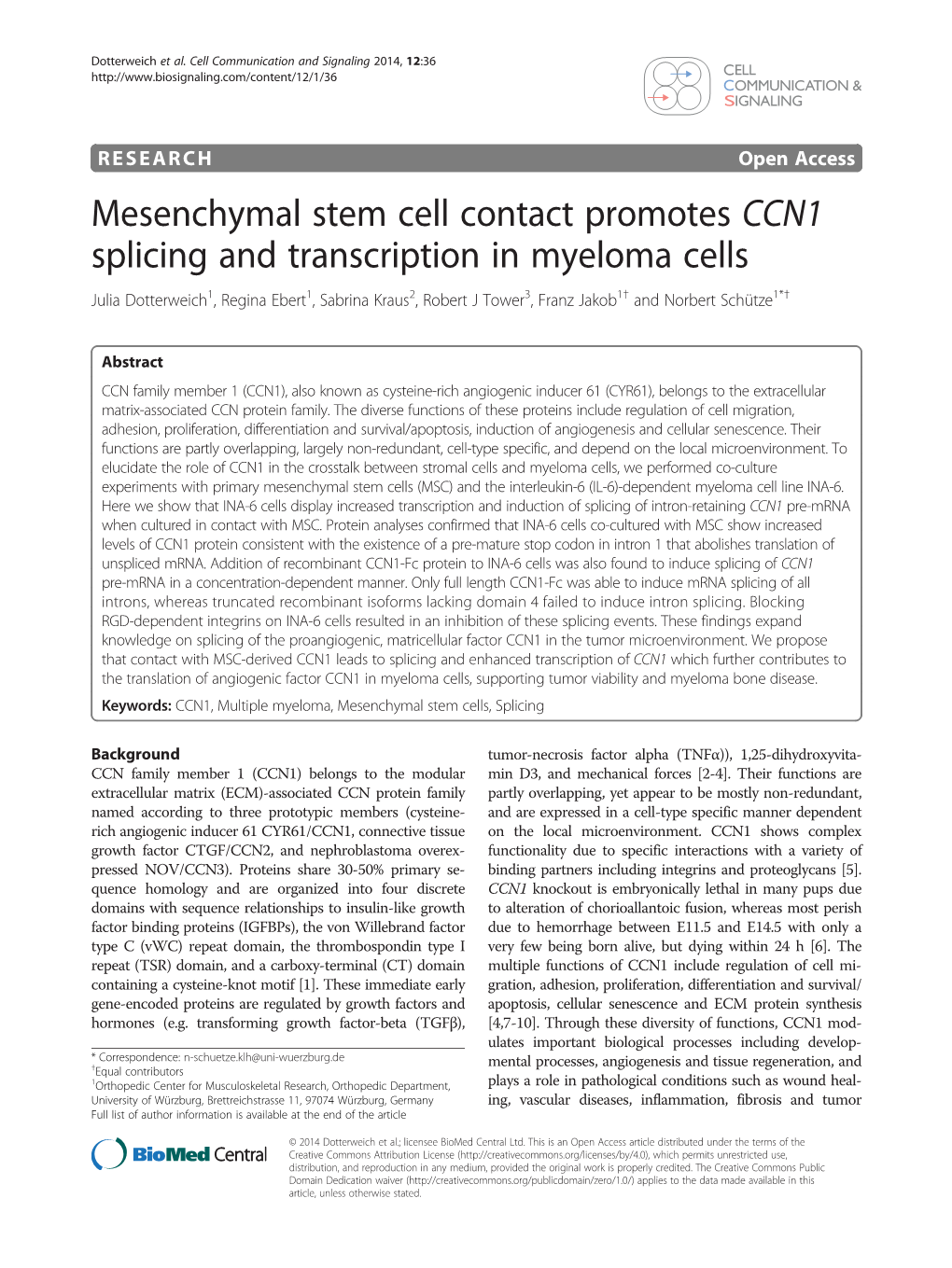 Mesenchymal Stem Cell Contact Promotes CCN1 Splicing And