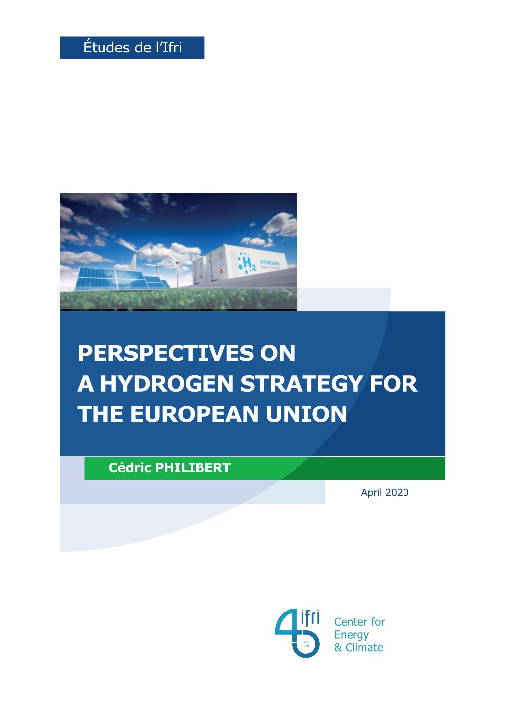 Perspectives on a Hydrogen Strategy for the European Union