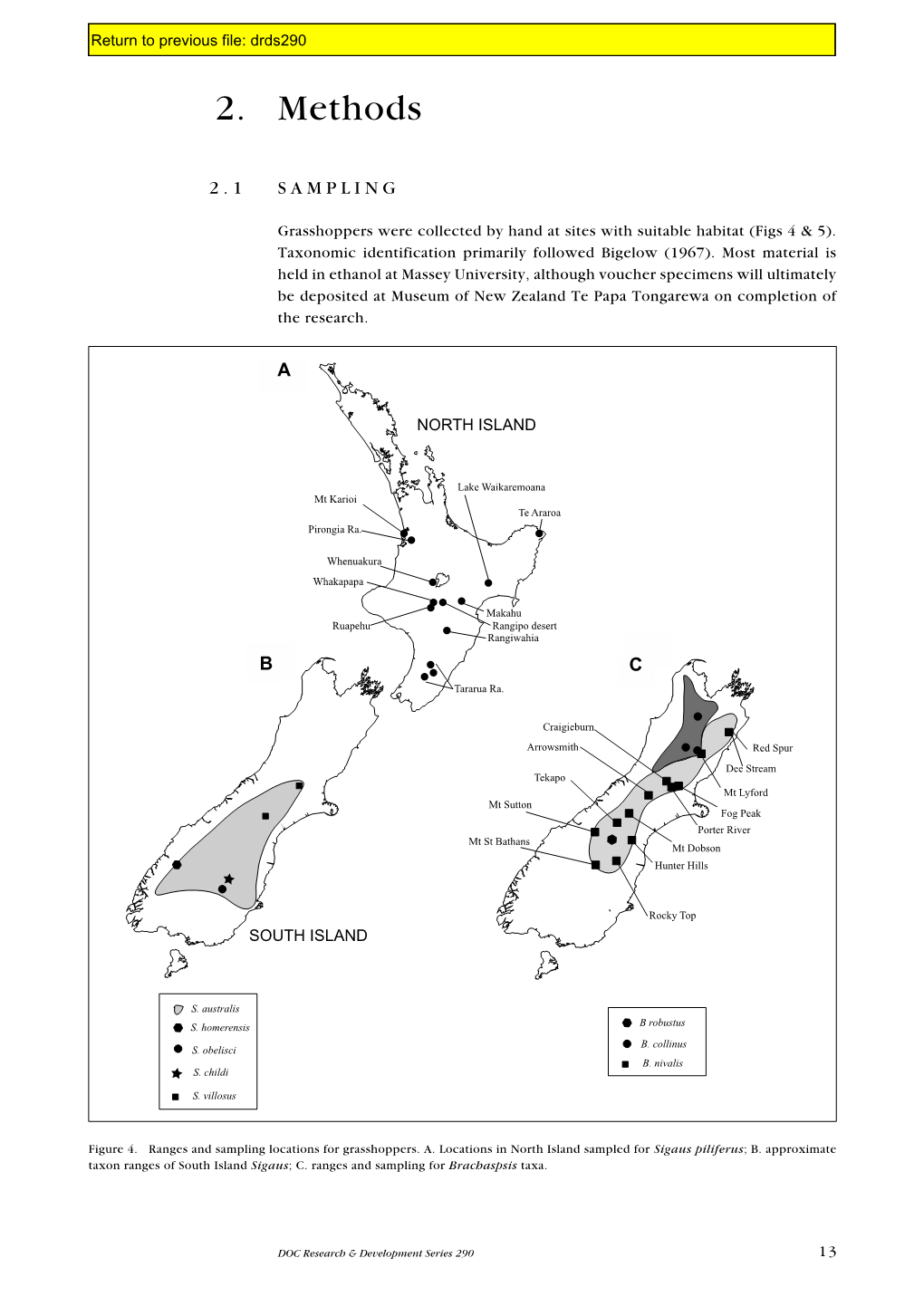 Diversity and Taxonomic Status of Some New Zealand Grasshoppers