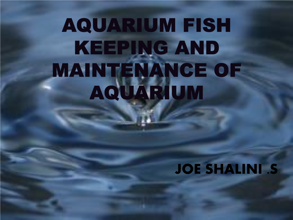 Aquarium Fish Keeping and Maintenance of Aquarium