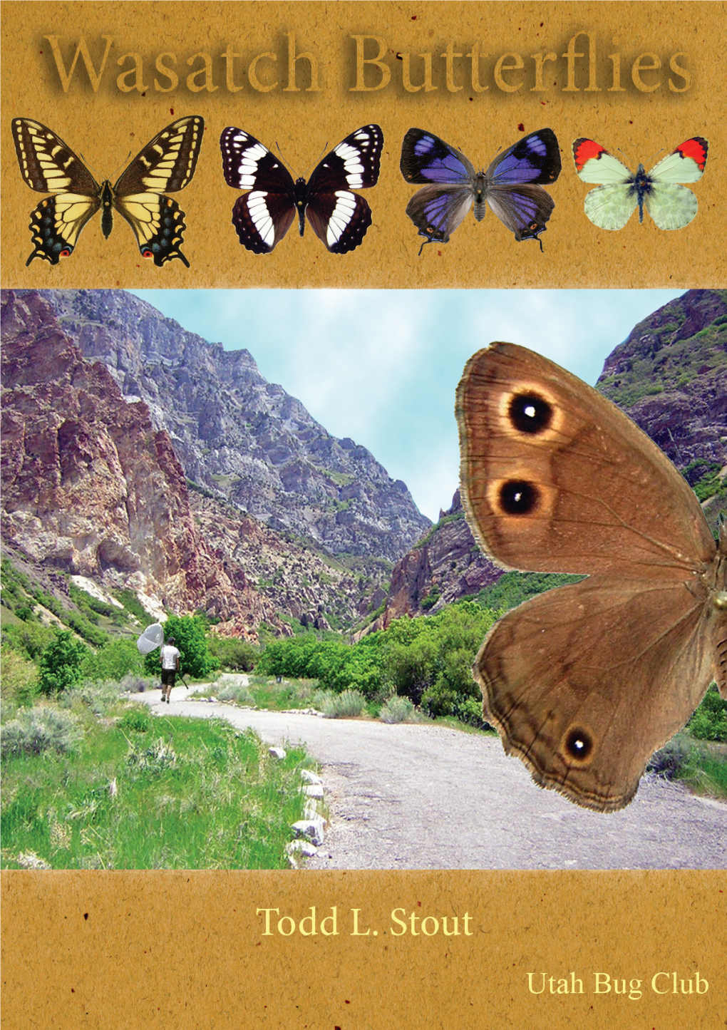 Wasatch Butterflies (Pdf)