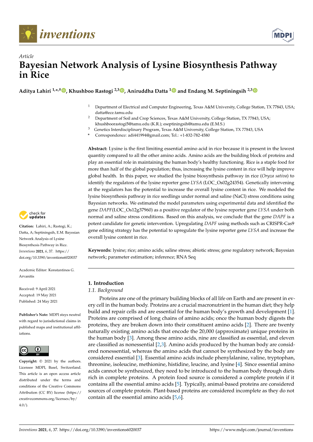 Bayesian Network Analysis of Lysine Biosynthesis Pathway in Rice