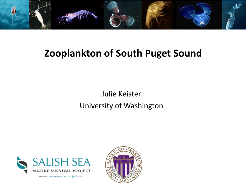 Zooplankton of South Puget Sound