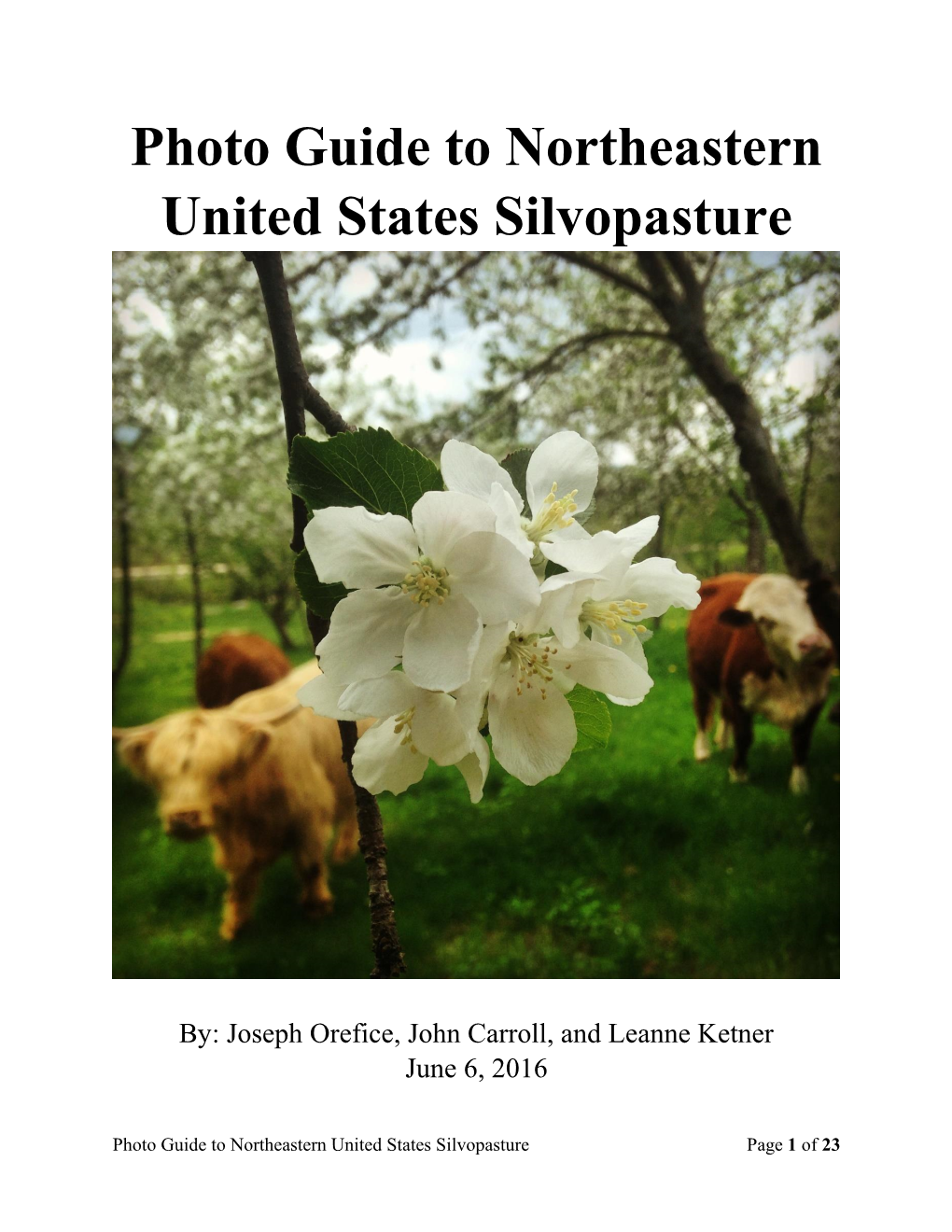 Photo Guide to Northeastern United States Silvopasture
